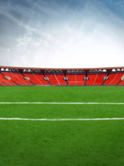 Stadium 8X10 Fleece ( 96 X 120 Inch ) Backdrop