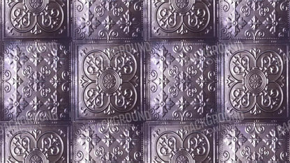 Stamped 14X8 Ultracloth ( 168 X 96 Inch ) Backdrop