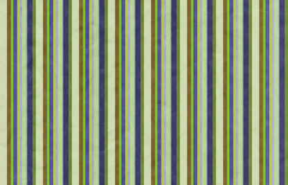 Stan 12X8 Ultracloth ( 144 X 96 Inch ) Backdrop