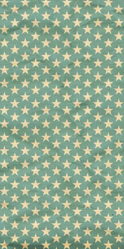 Star Spangle 10X20 Ultracloth ( 120 X 240 Inch ) Backdrop
