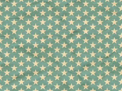 Star Spangle 10X8 Fleece ( 120 X 96 Inch ) Backdrop