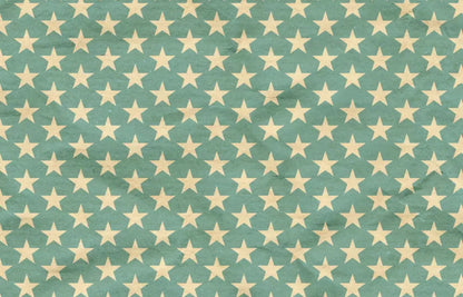 Star Spangle 12X8 Ultracloth ( 144 X 96 Inch ) Backdrop