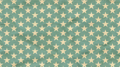 Star Spangle 14X8 Ultracloth ( 168 X 96 Inch ) Backdrop