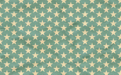 Star Spangle 14X9 Ultracloth ( 168 X 108 Inch ) Backdrop