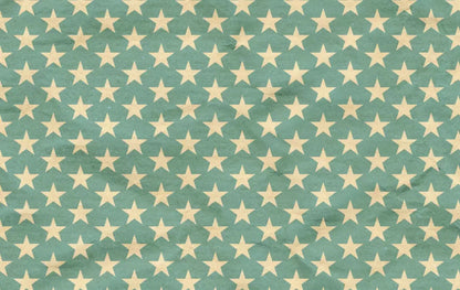 Star Spangle 16X10 Ultracloth ( 192 X 120 Inch ) Backdrop