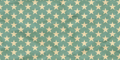 Star Spangle 20X10 Ultracloth ( 240 X 120 Inch ) Backdrop