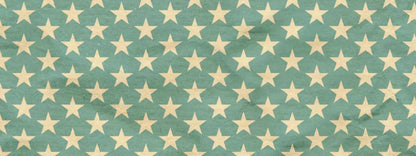 Star Spangle 20X8 Ultracloth ( 240 X 96 Inch ) Backdrop
