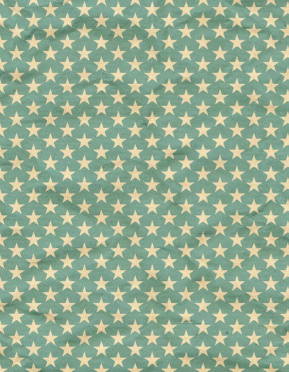 Star Spangle 6X8 Fleece ( 72 X 96 Inch ) Backdrop