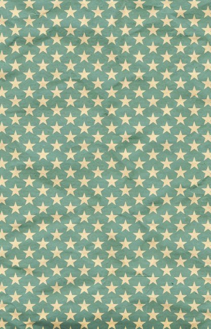Star Spangle 8X12 Ultracloth ( 96 X 144 Inch ) Backdrop