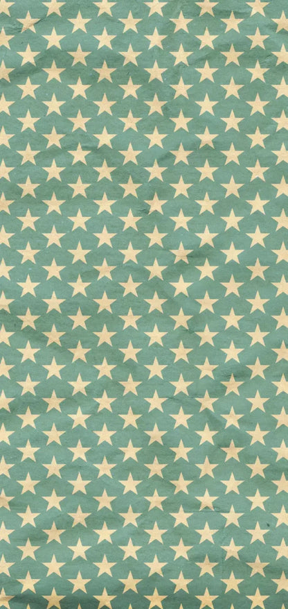 Star Spangle 8X16 Ultracloth ( 96 X 192 Inch ) Backdrop