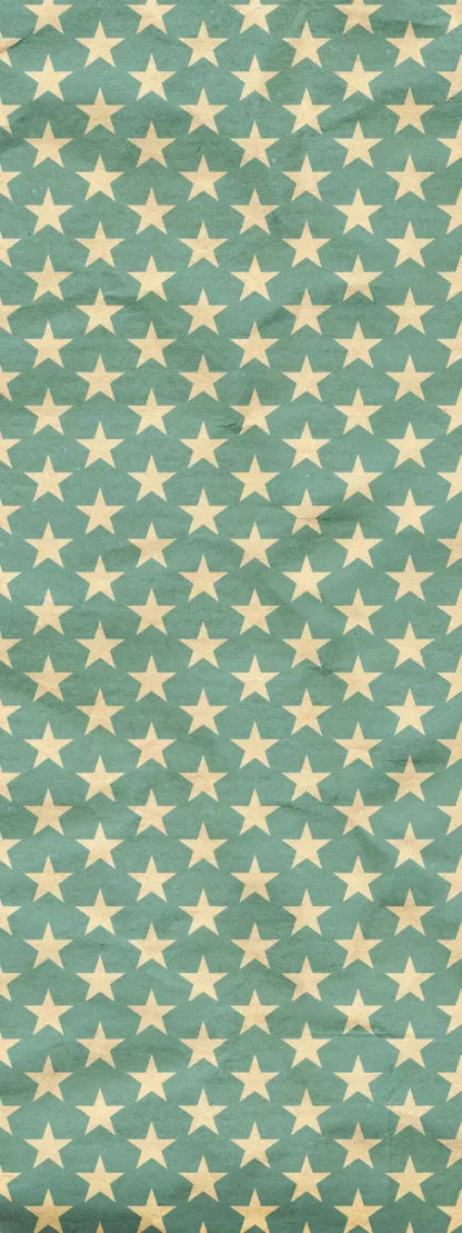 Star Spangle 8X20 Ultracloth ( 96 X 240 Inch ) Backdrop