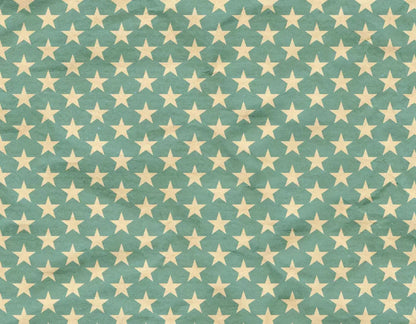 Star Spangle 8X6 Fleece ( 96 X 72 Inch ) Backdrop