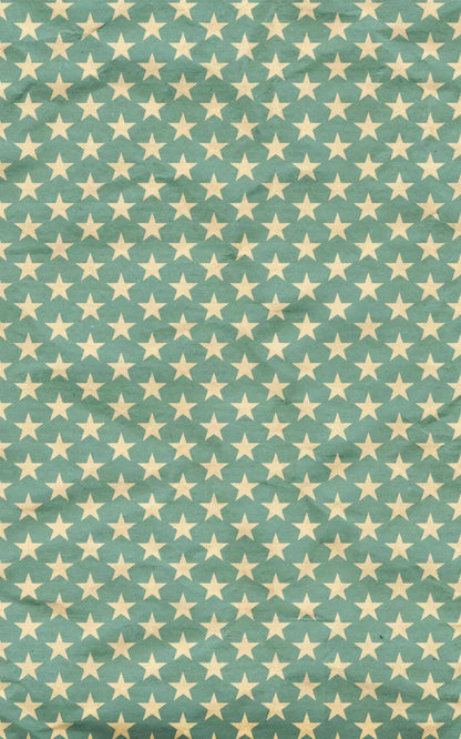 Star Spangle 9X14 Ultracloth ( 108 X 168 Inch ) Backdrop
