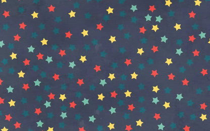Starry 14X9 Ultracloth ( 168 X 108 Inch ) Backdrop