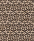 Brown Damask Backdrop for Photography