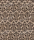 Brown Damask Backdrop for Photography