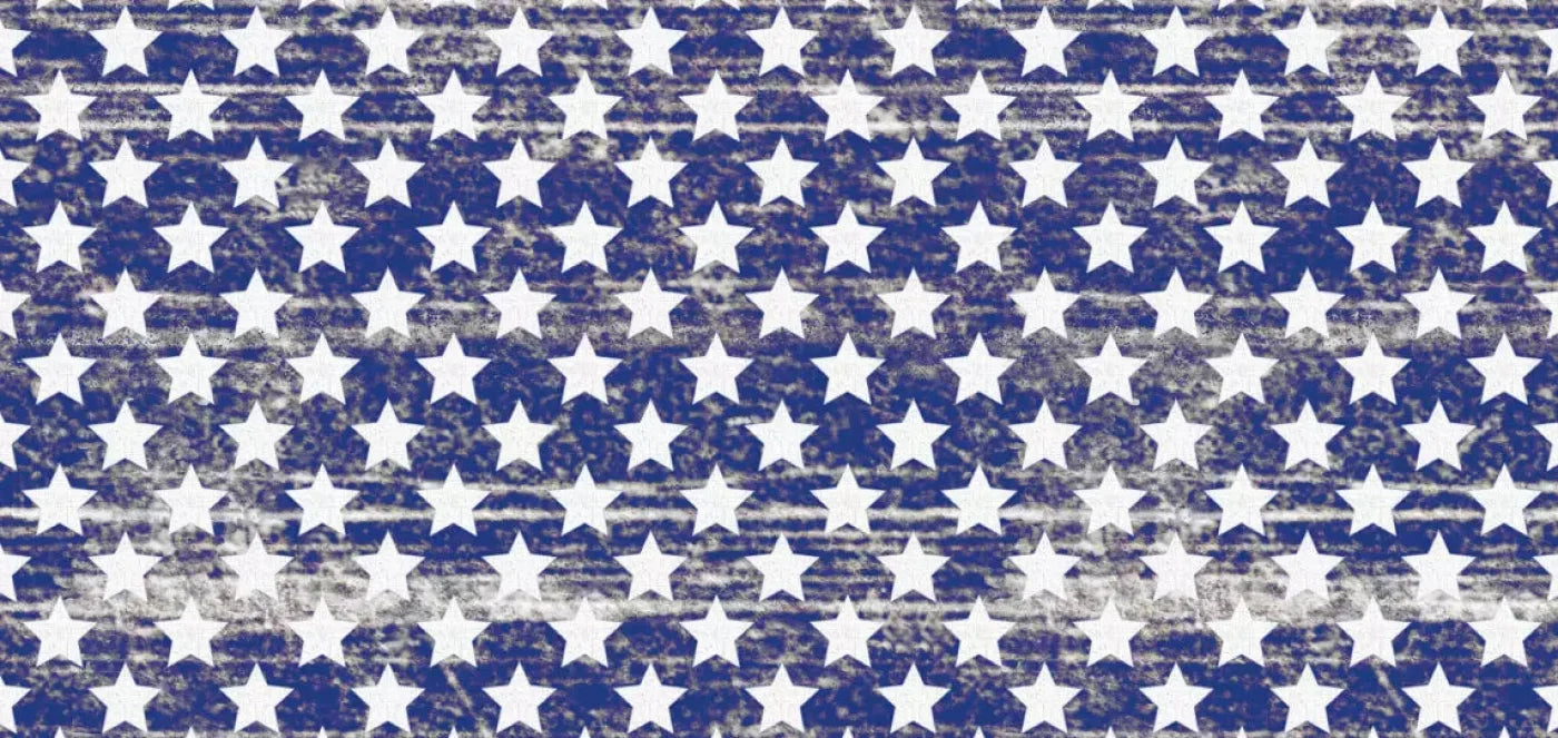 Stellar 16X8 Ultracloth ( 192 X 96 Inch ) Backdrop