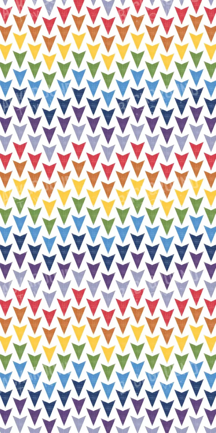 Steve 10X20 Ultracloth ( 120 X 240 Inch ) Backdrop