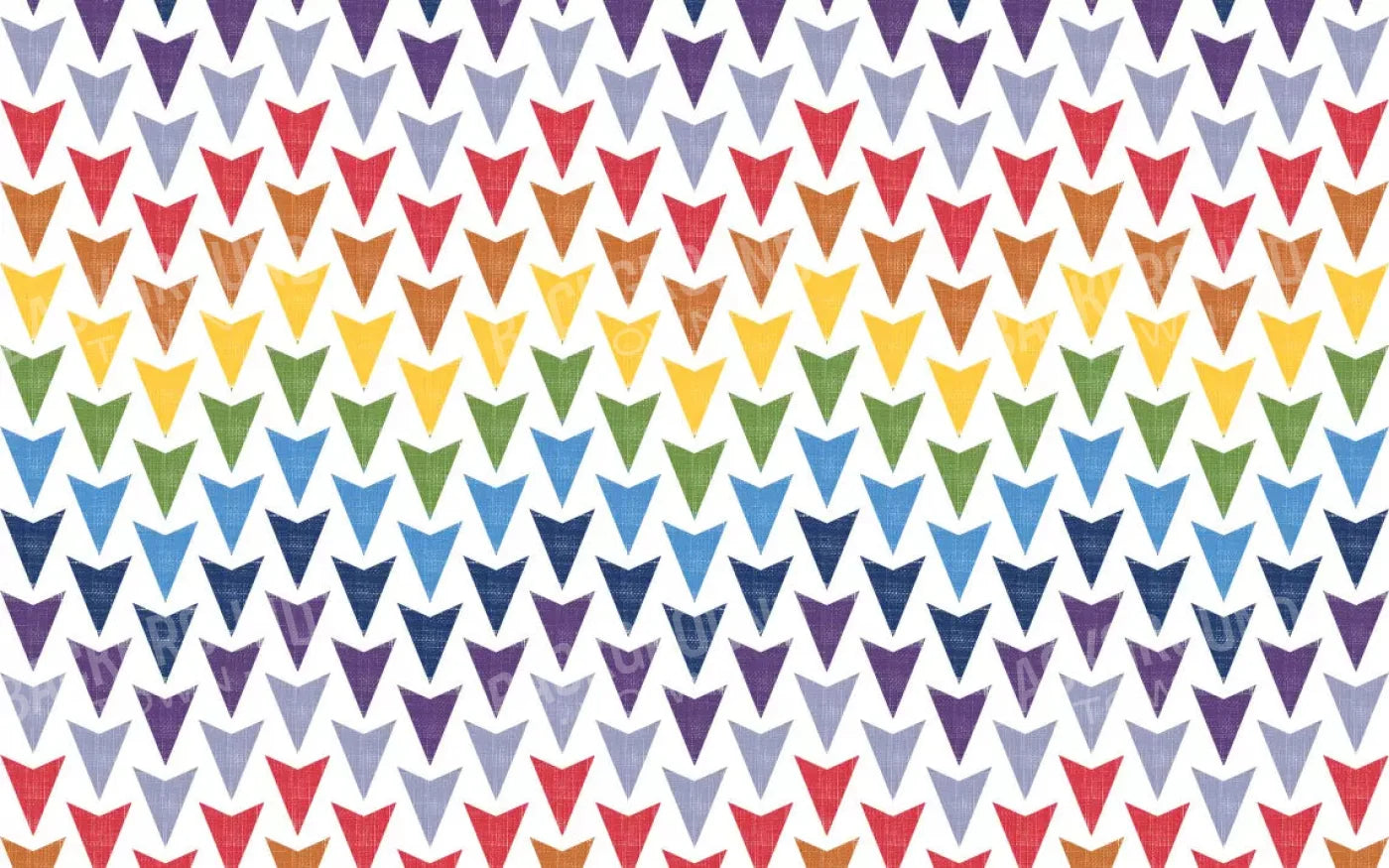 Steve 14X9 Ultracloth ( 168 X 108 Inch ) Backdrop