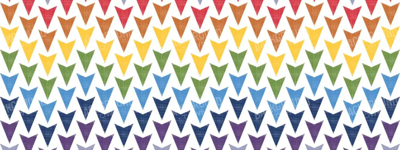 Steve 20X8 Ultracloth ( 240 X 96 Inch ) Backdrop