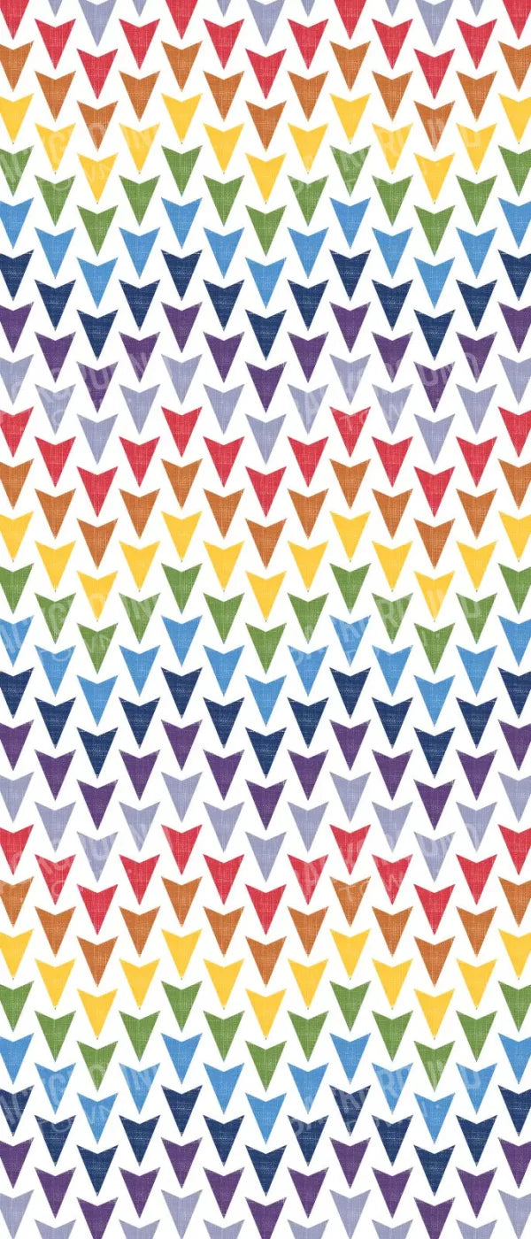 Steve 5X12 Ultracloth For Westcott X-Drop ( 60 X 144 Inch ) Backdrop