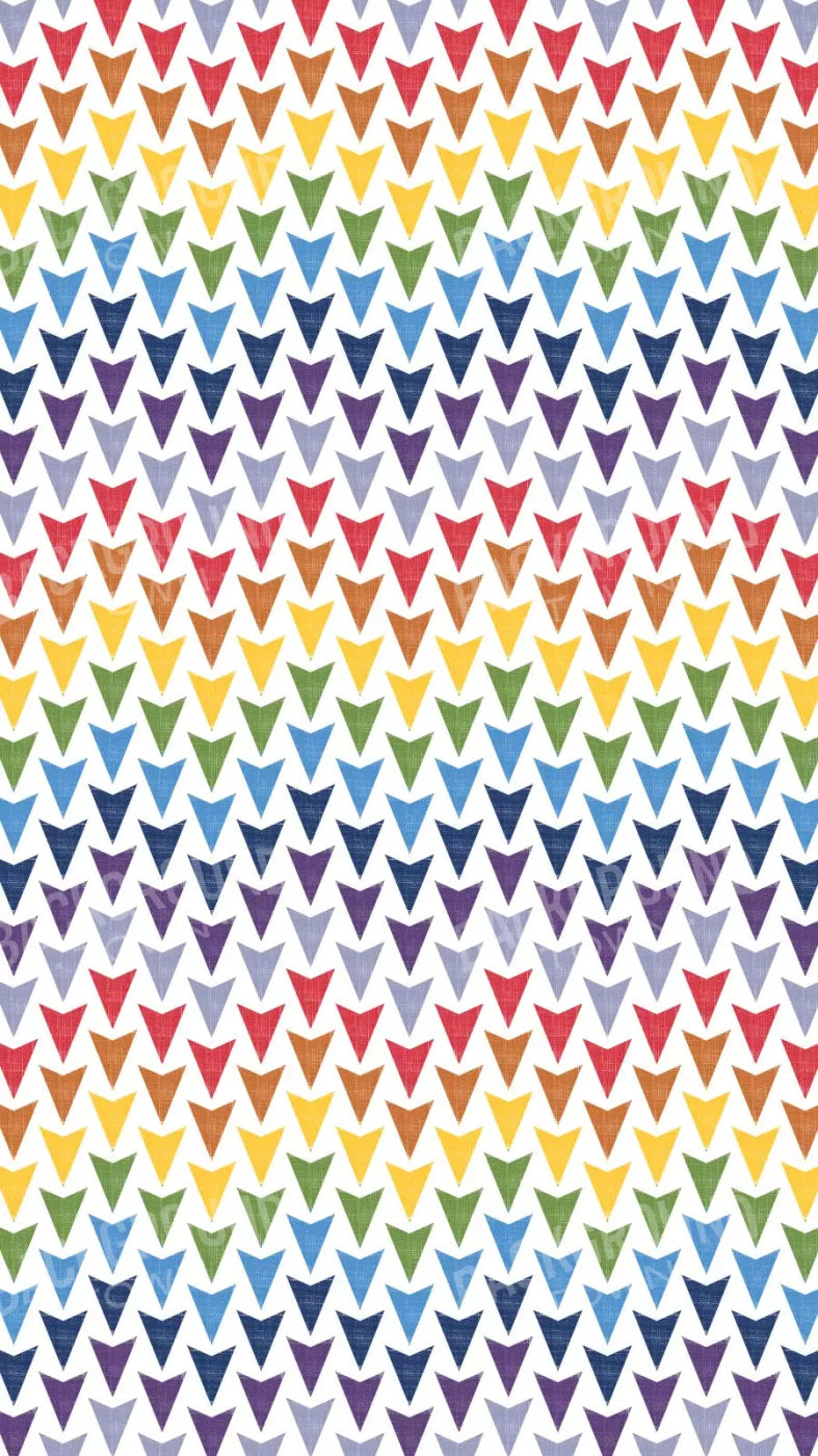 Steve 8X14 Ultracloth ( 96 X 168 Inch ) Backdrop