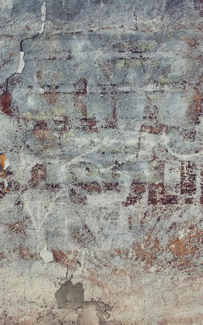 Stone Age Bronx 9X14 Ultracloth ( 108 X 168 Inch ) Backdrop