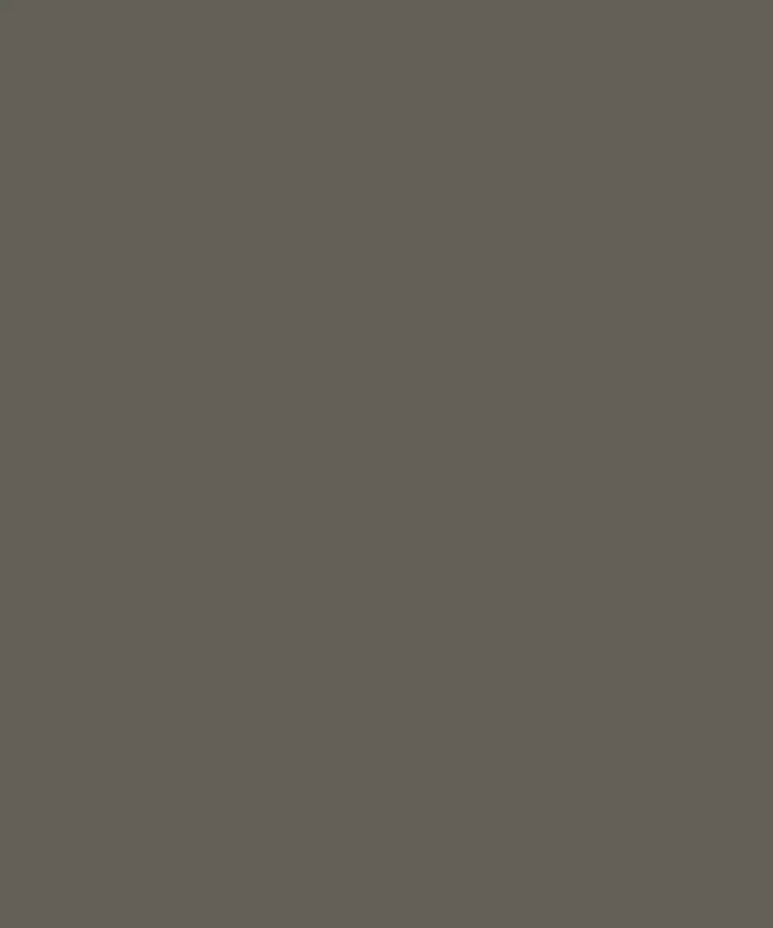 Stone Gray Solid Color Backdrop for Photography
