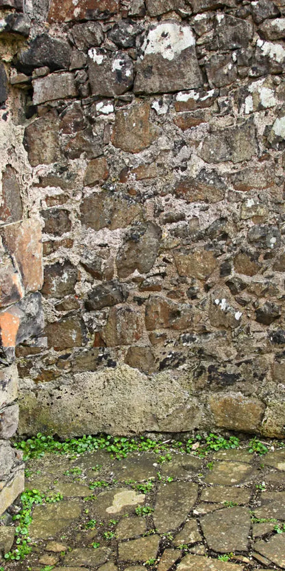 Stone Corner 10X20 Ultracloth ( 120 X 240 Inch ) Backdrop
