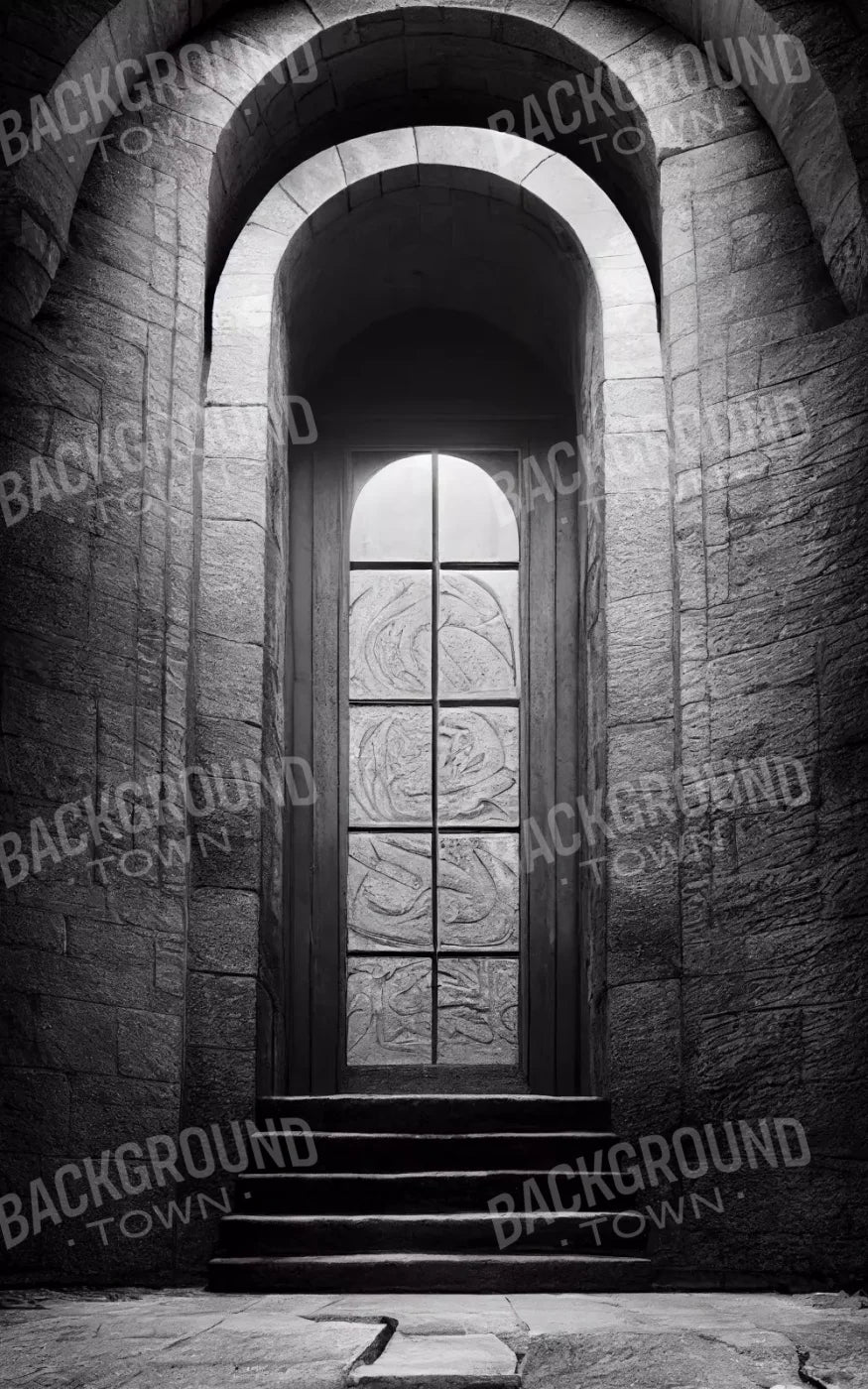 Stone Door 9X14 Ultracloth ( 108 X 168 Inch ) Backdrop