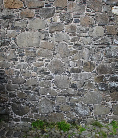 Stone Wall 10X12 Ultracloth ( 120 X 144 Inch ) Backdrop