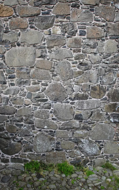 Stone Wall 10X16 Ultracloth ( 120 X 192 Inch ) Backdrop