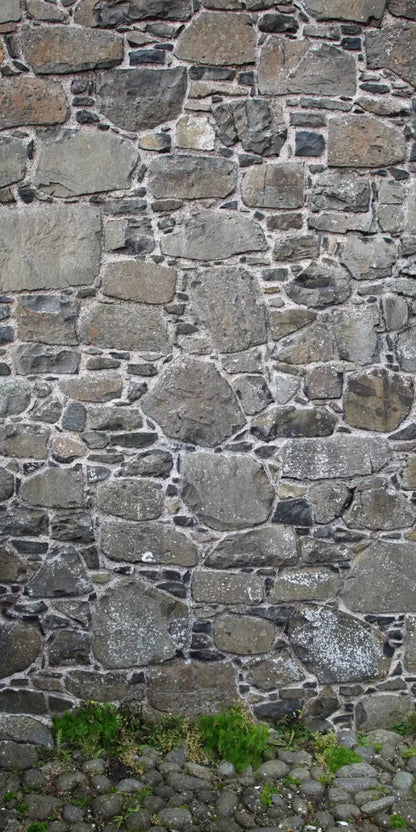 Stone Wall 10X20 Ultracloth ( 120 X 240 Inch ) Backdrop