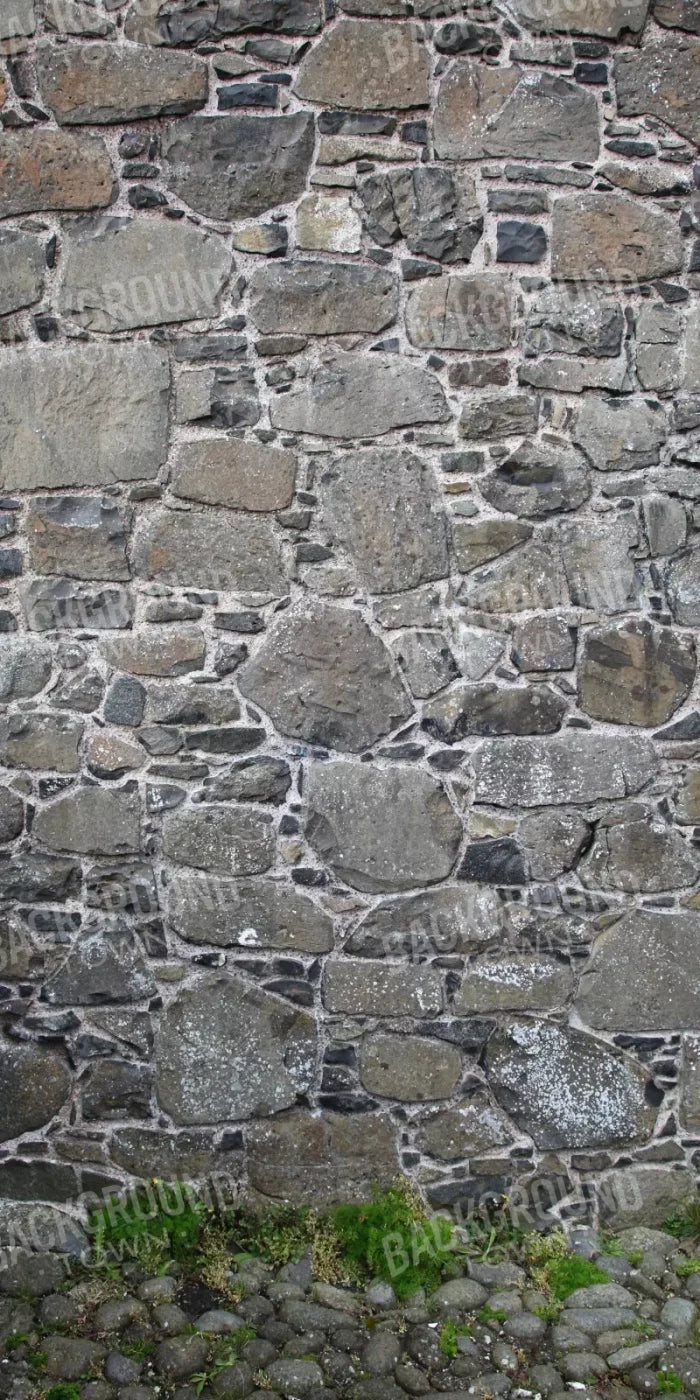 Stone Wall 10X20 Ultracloth ( 120 X 240 Inch ) Backdrop