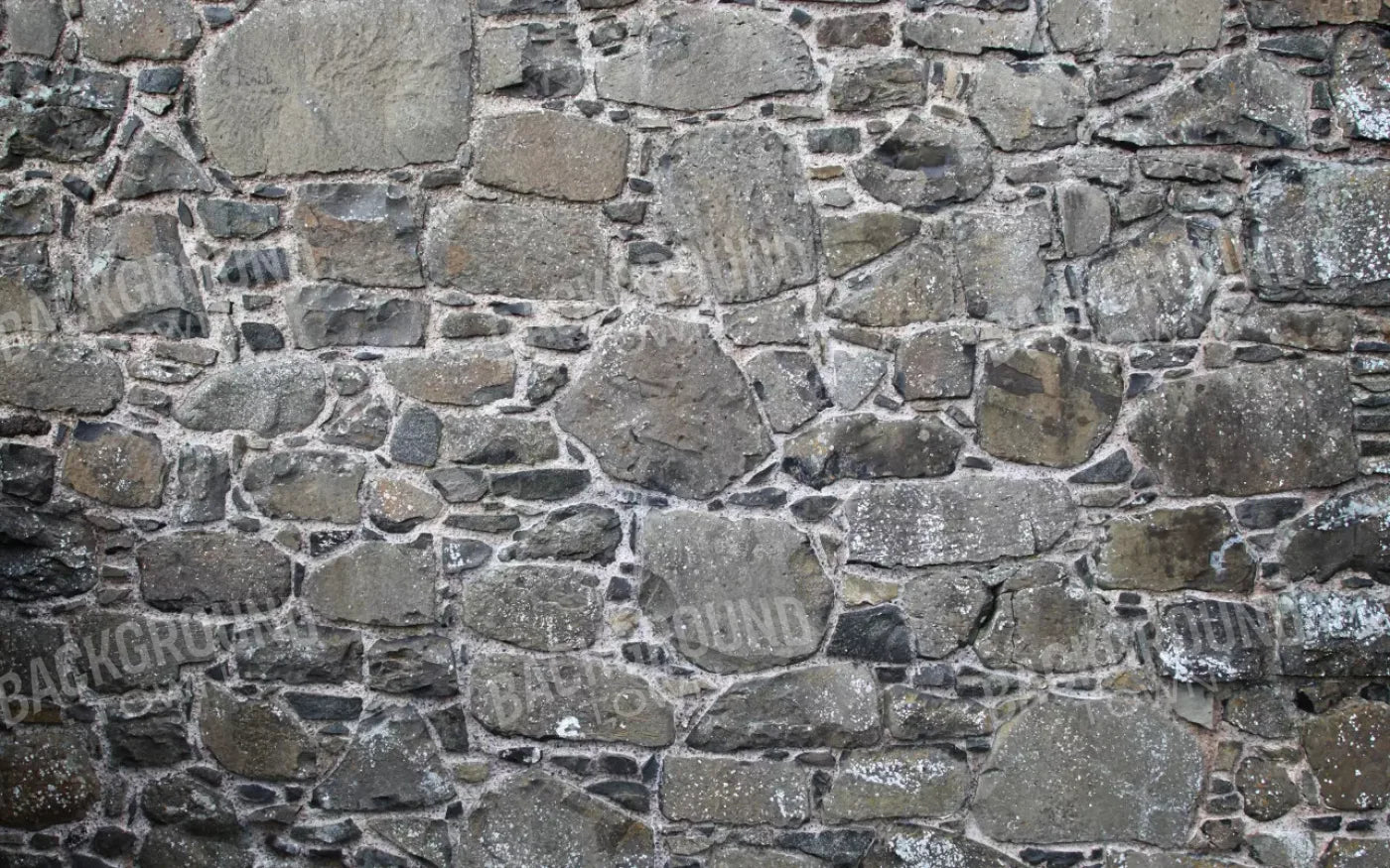 Stone Wall 14X9 Ultracloth ( 168 X 108 Inch ) Backdrop