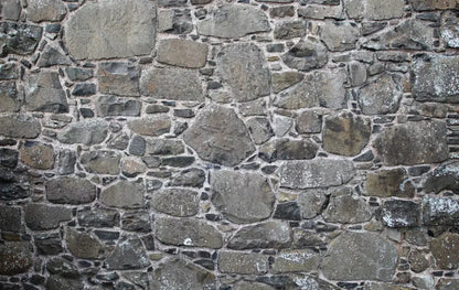 Stone Wall 16X10 Ultracloth ( 192 X 120 Inch ) Backdrop
