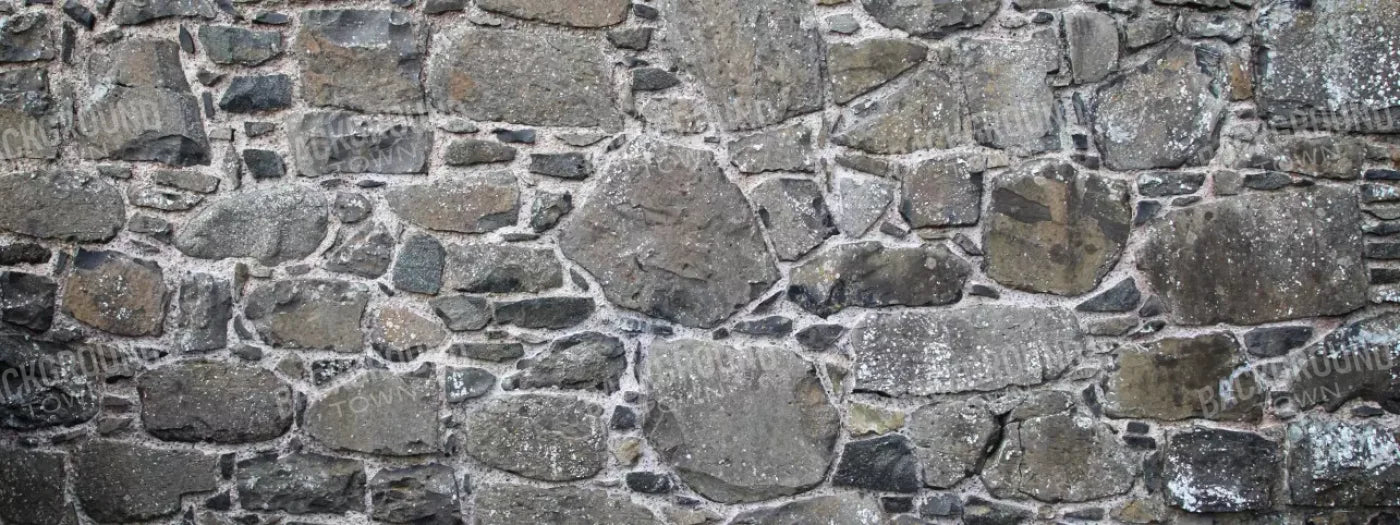 Stone Wall 20X8 Ultracloth ( 240 X 96 Inch ) Backdrop