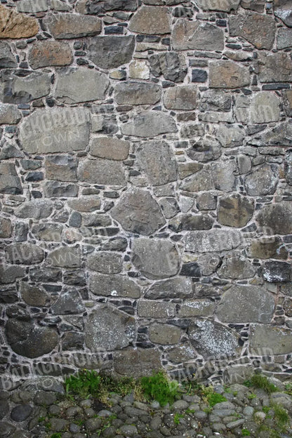 Stone Wall 5X8 Ultracloth ( 60 X 96 Inch ) Backdrop