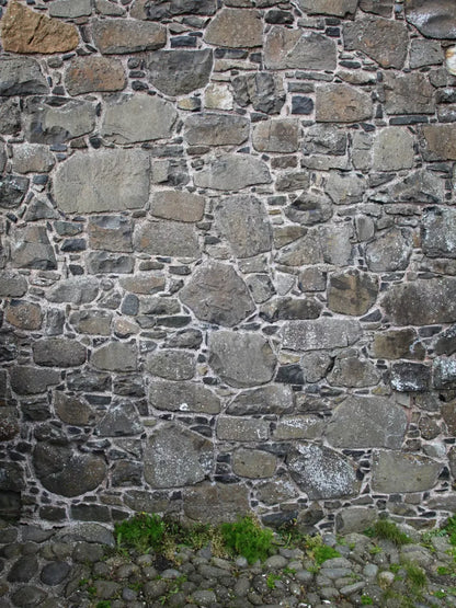 Stone Wall 8X10 Fleece ( 96 X 120 Inch ) Backdrop