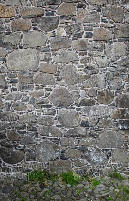 Stone Wall 8X12 Ultracloth ( 96 X 144 Inch ) Backdrop