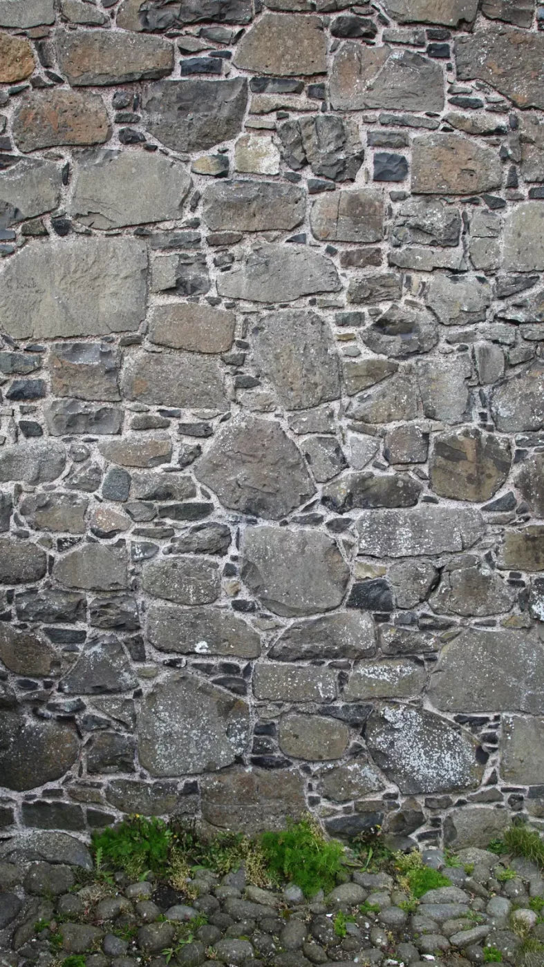 Stone Wall 8X14 Ultracloth ( 96 X 168 Inch ) Backdrop