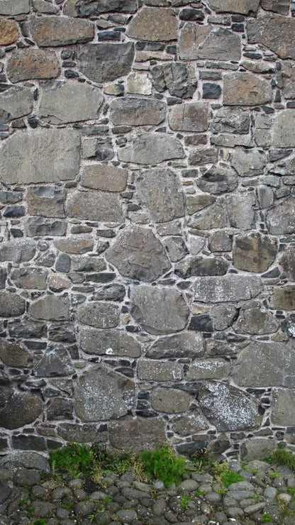 Stone Wall 8X14 Ultracloth ( 96 X 168 Inch ) Backdrop