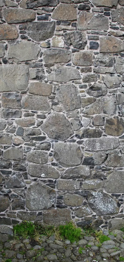 Stone Wall 8X16 Ultracloth ( 96 X 192 Inch ) Backdrop