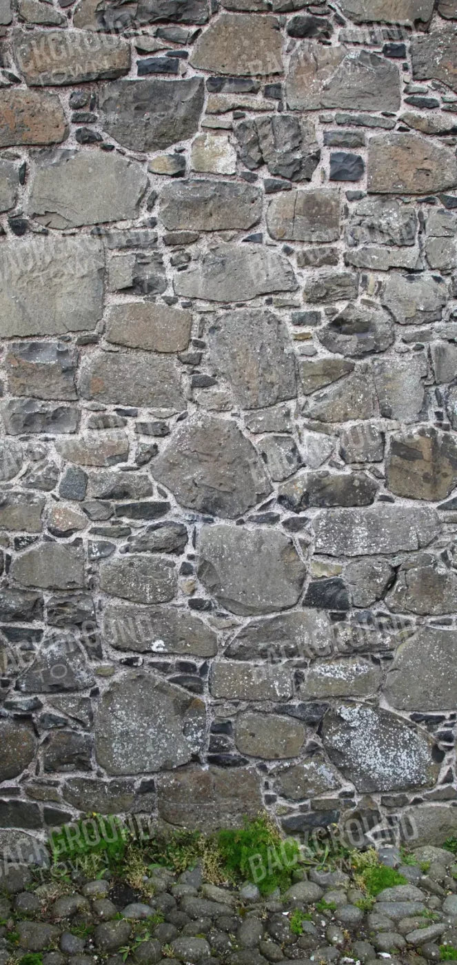 Stone Wall 8X16 Ultracloth ( 96 X 192 Inch ) Backdrop