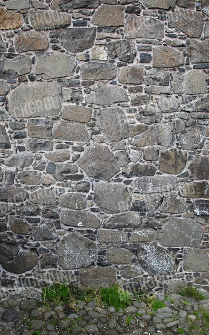 Stone Wall 9X14 Ultracloth ( 108 X 168 Inch ) Backdrop