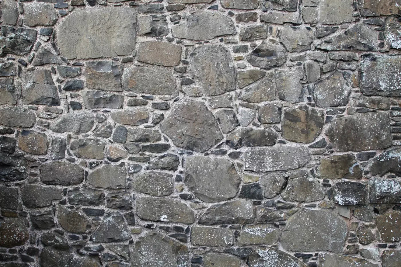 Stone Wall Backdrop