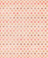 Pink Pattern Backdrop for Photography