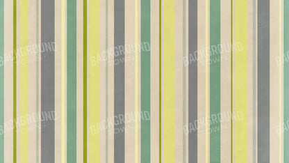 Striped Contempo 14X8 Ultracloth ( 168 X 96 Inch ) Backdrop