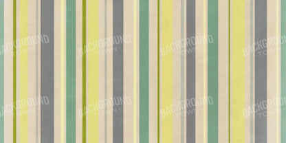 Striped Contempo 20X10 Ultracloth ( 240 X 120 Inch ) Backdrop