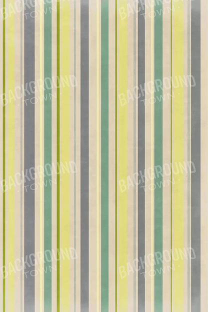 Striped Contempo 5X8 Ultracloth ( 60 X 96 Inch ) Backdrop